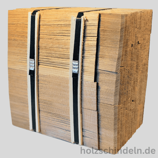 Lärche | 25 cm