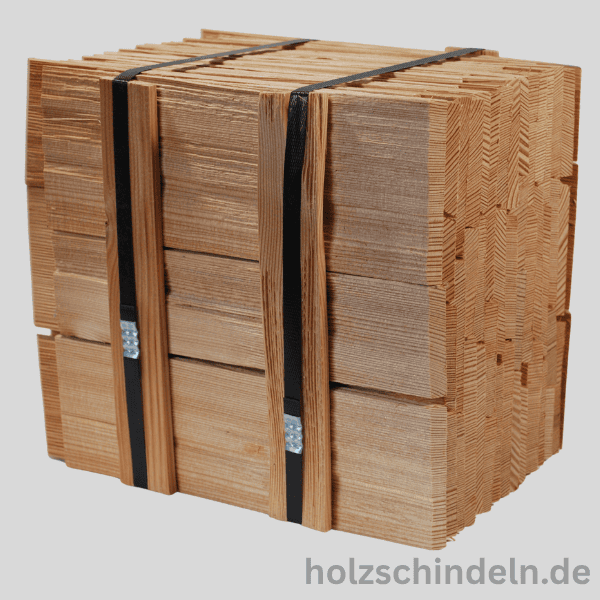 Lärche | 30 cm