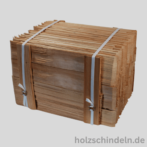 Lärche | 40 cm
