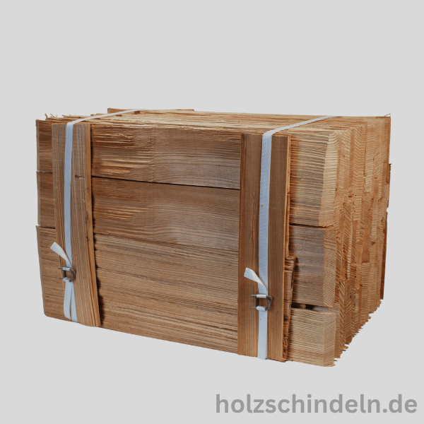 Lärche | 40 cm | 9 Bm